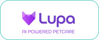 Lupa